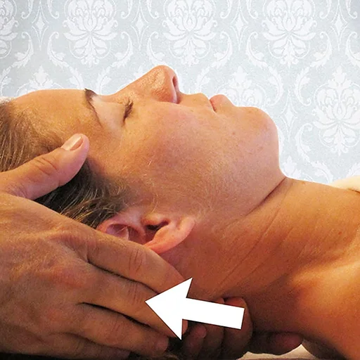 Massage Techniques logo