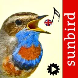Bird Song Id UK logo