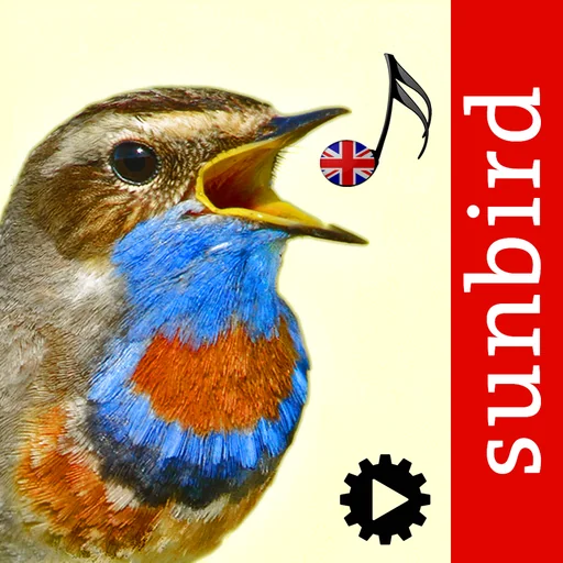 Bird Song Id UK logo