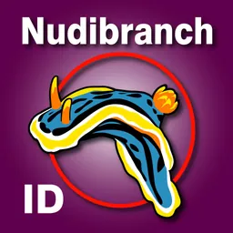Nudibranch ID E Atlantic Med logo