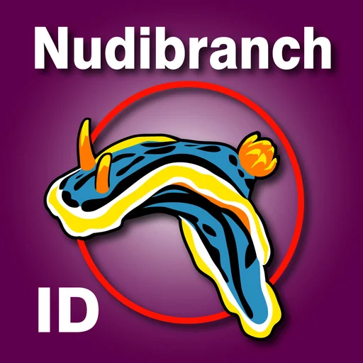 Nudibranch ID E Atlantic Med logo