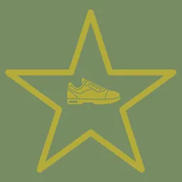 Army Fitness logo
