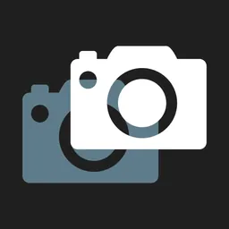 Camera Overlay for Business logo