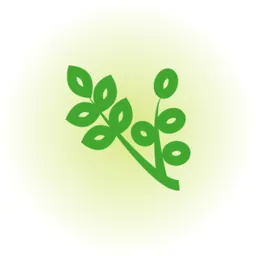 中药大全 - 中草药药剂偏方百科 logo