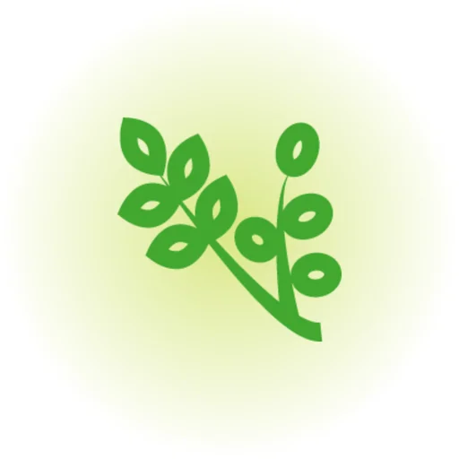 中药大全 - 中草药药剂偏方百科 logo