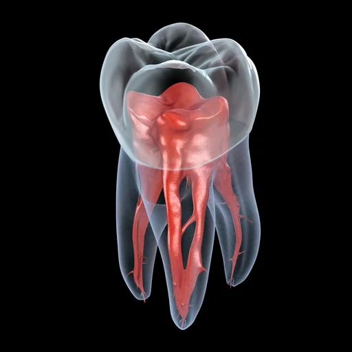 Dental Animations logo