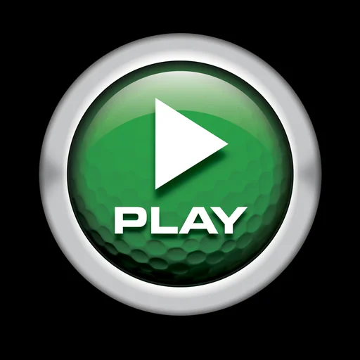 Digital Mirror Mobile logo