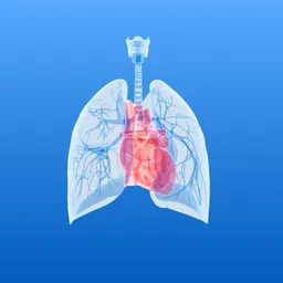 Lung Heart Sounds logo