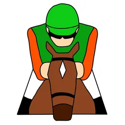 Party Home Derby logo