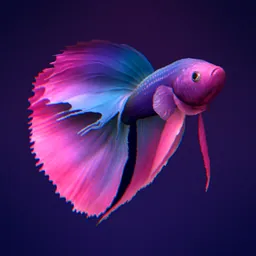 Bettarium - Betta Fish Tank logo