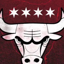Chicago Bulls logo