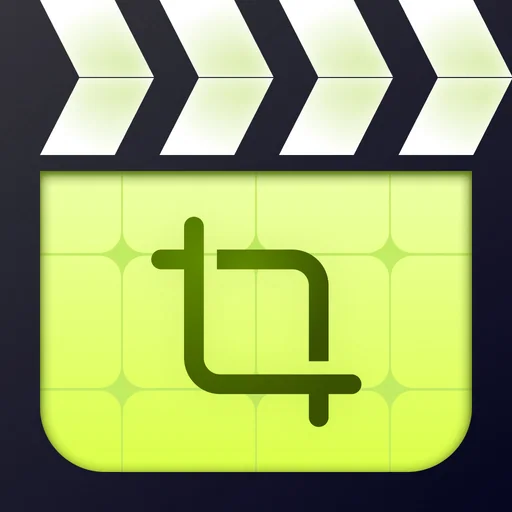 Resize Video logo