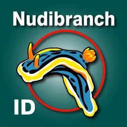 Nudibranch ID Western Atlantic logo