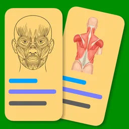 Muscle Flashcards Pro logo