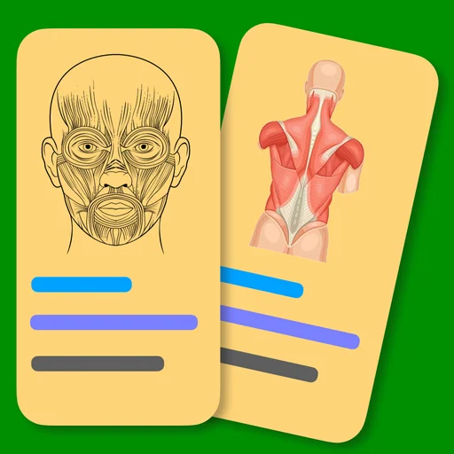 Muscle Flashcards Pro logo