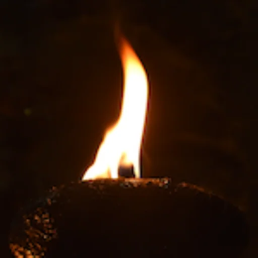 Bhasaka logo