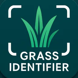Grass Identifier: AI Scan logo