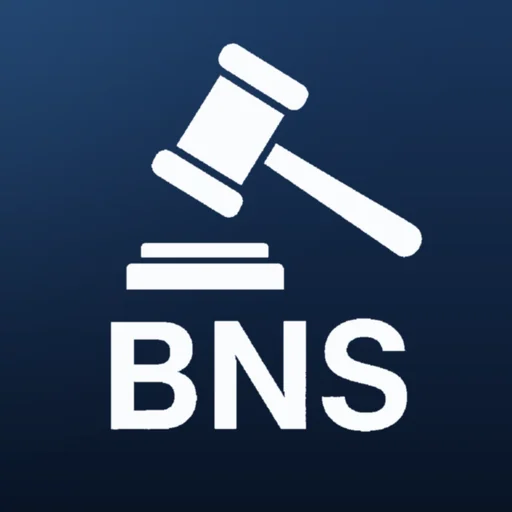 BNS AI logo