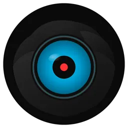CrowsEye logo