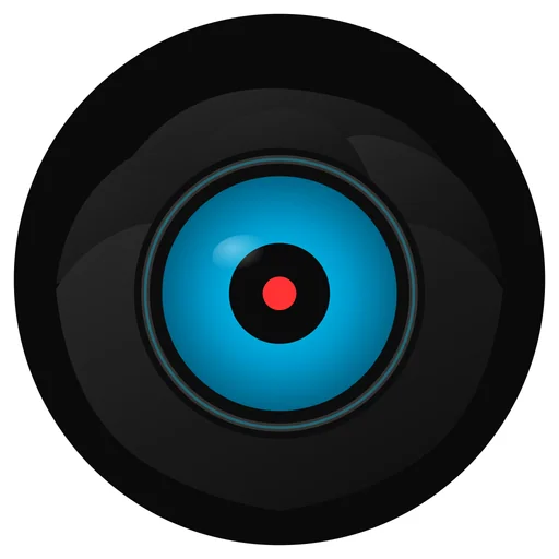CrowsEye logo