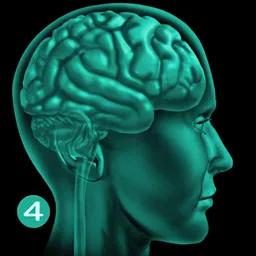 Misophonia Trigger Tamer 4 logo