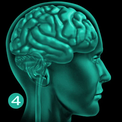 Misophonia Trigger Tamer 4 logo