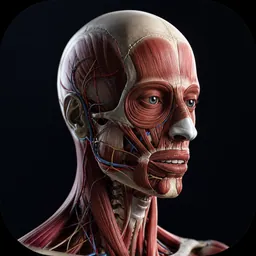 Human Anatomy - visible body logo