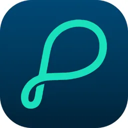 Pebble Qore logo