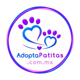 Adopt Paws logo