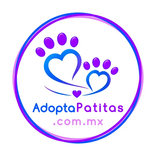 Adopt Paws logo