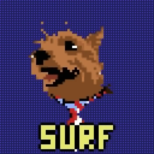 Amaru Surf logo