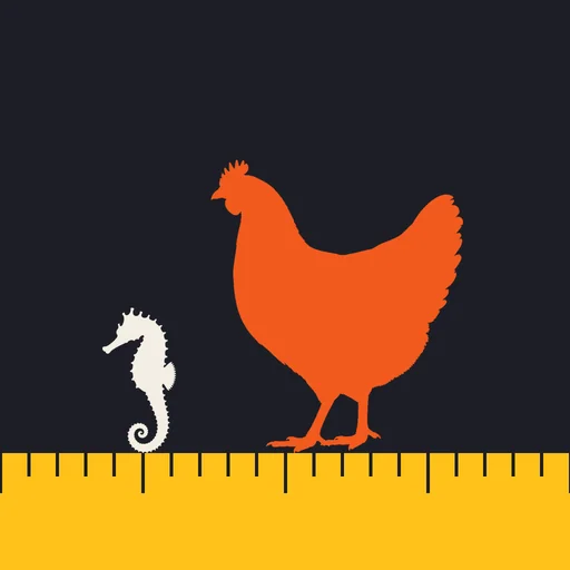 How Big? Guess the Size logo