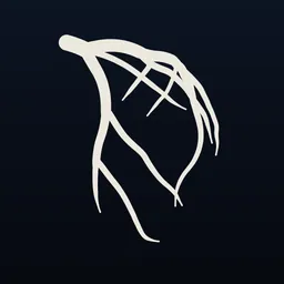 AngioView logo