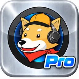 Disco Sampler Pro logo