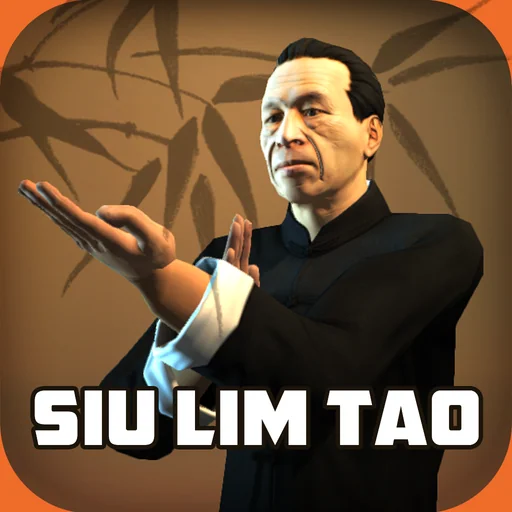 Ip Man Wing Chun Kung Fu : SLT logo