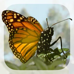 Brian Cox's Wonders of Life logo