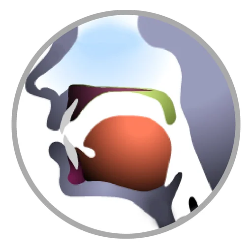 Sounds of Speech logo