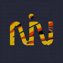 Nintype logo