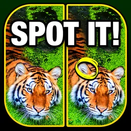 What's the Difference? Spot It logo