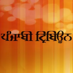 Punjabi Tribune Newspaper logo