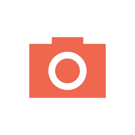 Manual – RAW Camera logo