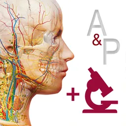 Anatomy & Physiology logo