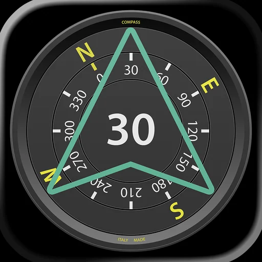 Compass Pro - Aircraft logo