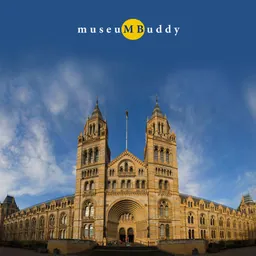 Natural History Museum 4 Ever logo