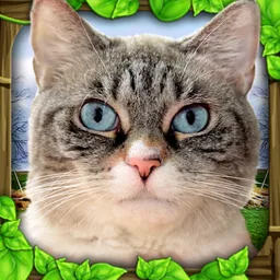 Stray Cat Simulator logo