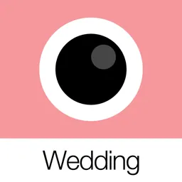 Analog Wedding logo